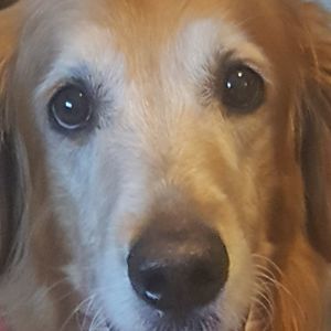 Meet your Posher, Stacey